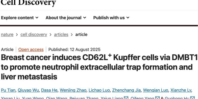 攻克乳腺癌肝转移：中国科学家发现关键蛋白DMBT1及其抑制策略