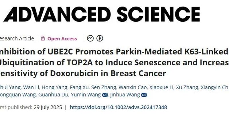 UBE2C新靶点：破解乳腺癌阿霉素耐药难题，提高化疗敏感性