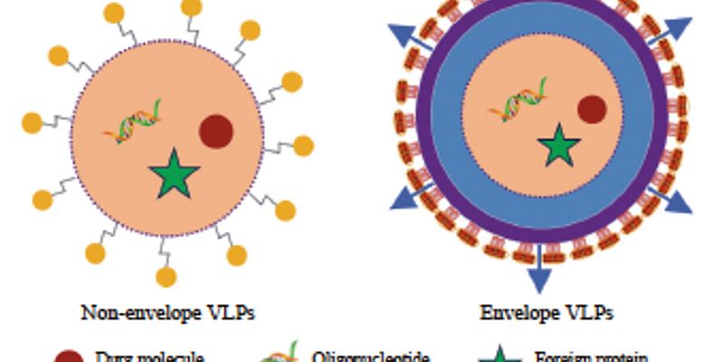 病毒样颗粒（VLP）：癌症治疗新希望？一文读懂肿瘤疫苗与精准药物递送