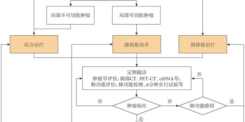 肺癌肺移植：晚期肺癌患者的治疗新选择与挑战