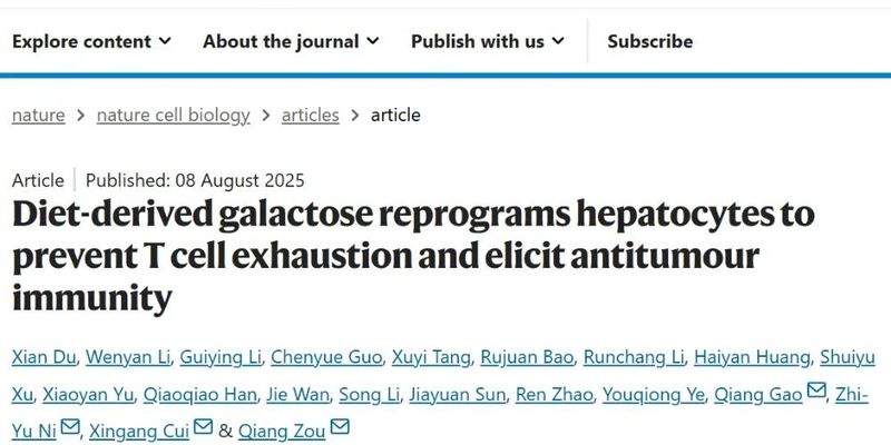 饮食抗癌新突破:半乳糖如何“唤醒”免疫系统,逆转T细胞耗竭?