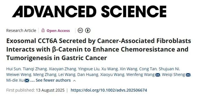 攻克胃癌化疗耐药新思路：研究发现CCT6A是关键蛋白与潜在治疗靶点