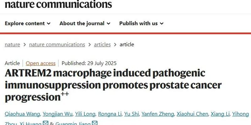 前列腺癌治疗新方向：双重靶向AR和TREM2可有效抑制肿瘤进展