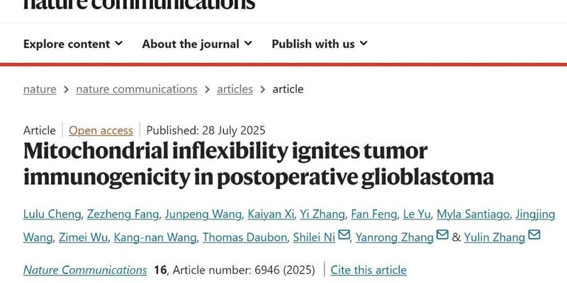 攻克胶质母细胞瘤复发！新研究靶向线粒体，成功激活抗癌免疫