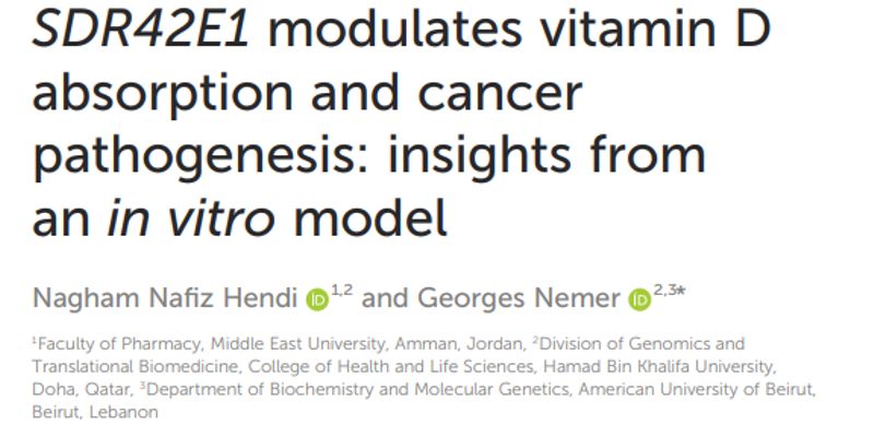 维生素D与癌症新关联：SDR42E1基因或成结直肠癌治疗新靶点