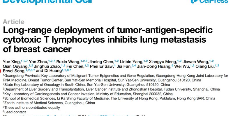 突破性研究:揭示CD8+T细胞如何远程抑制乳腺癌肺转移,为癌症免疫治疗带来新希望