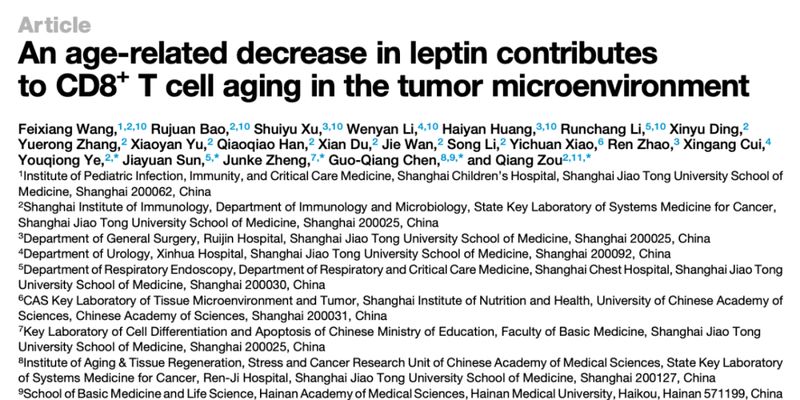 瘦素与癌症免疫：揭秘脂肪如何影响老年抗肿瘤T细胞功能