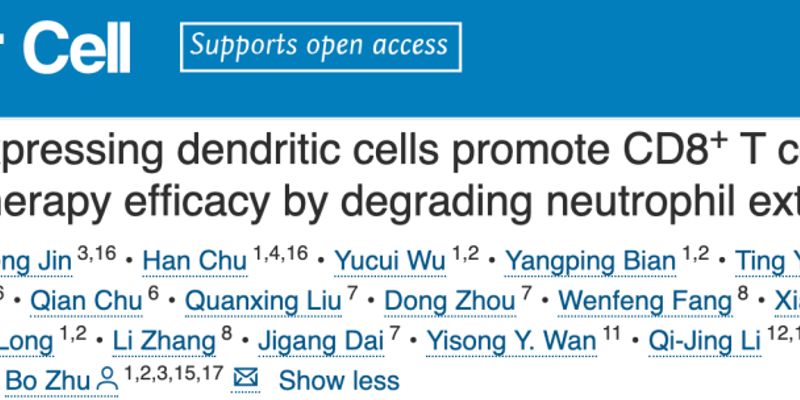 免疫治疗新突破！中国科学家揭示树突状细胞如何增强T细胞抗癌活性