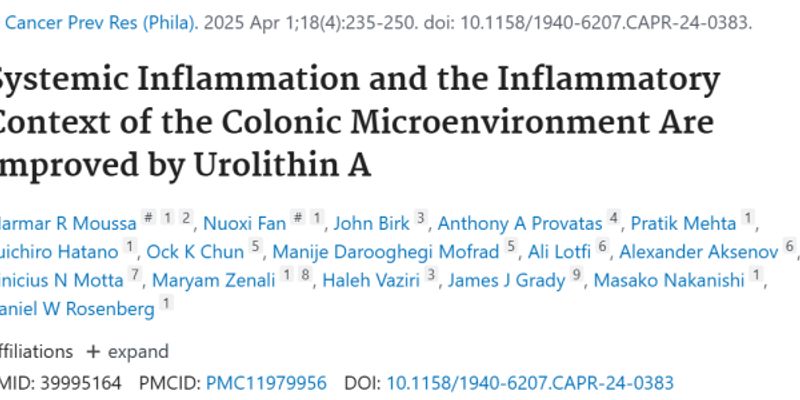 结肠癌预防新发现:研究证实核桃的抗炎功效与防癌潜力
