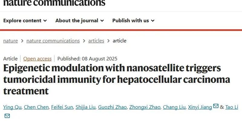 肝细胞癌新疗法:研究揭示纳米卫星如何通过靶向YTHDF1重塑免疫,高效清除肿瘤