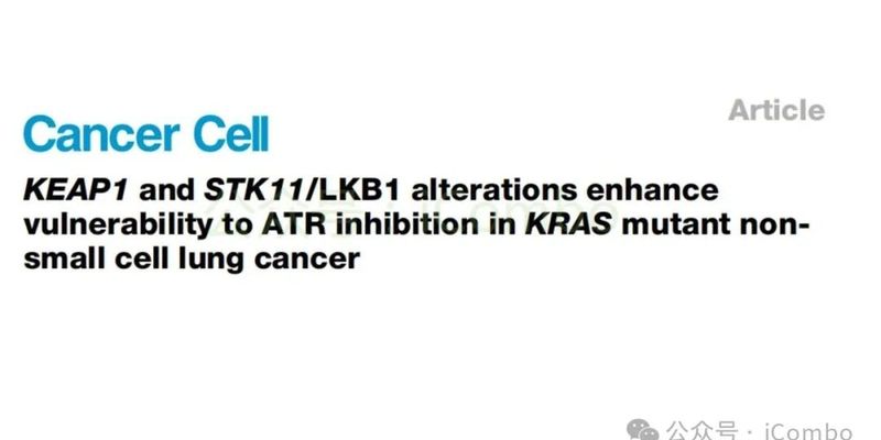 攻克KRAS突变肺癌耐药:研究发现KEAP1/STK11改变可增强ATR抑制剂疗效