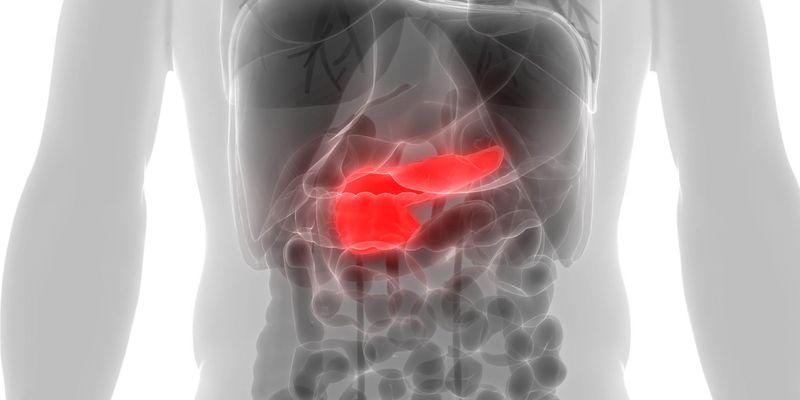 KRAS突变胰腺癌新希望:癌症疫苗ELI-002 7P临床试验激活强大T细胞免疫反应