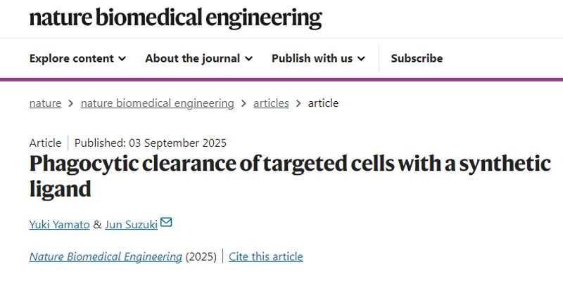癌症与自身免疫病新突破：Crunch蛋白疗法如何精准清除有害细胞？
