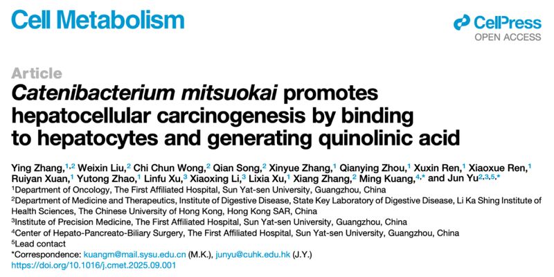 肠道菌群与肝癌的隐秘关联:研究揭示Catenibacterium mitsuokai如何加速肝细胞癌恶化