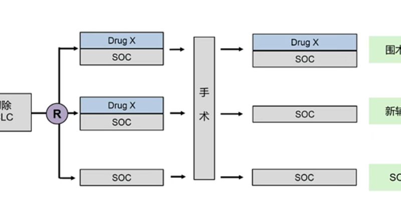 非小细胞肺癌围术期免疫治疗新突破:纳武利尤单抗、帕博利珠单抗等药物如何改变治疗格局