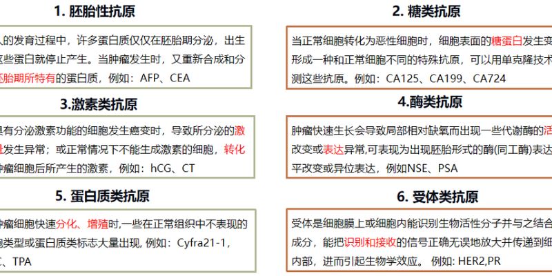 肿瘤标志物升高就是癌?别慌!一文读懂AFP/CEA等指标的临床意义