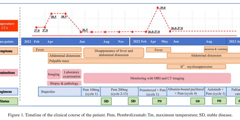 帕博利珠单抗一线治疗PD-L1阳性腹膜间皮瘤：罕见病例PFS达10个月，OS超2年