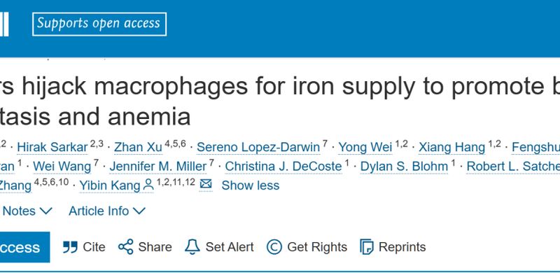 乳腺癌骨转移为何导致贫血?新研究揭示癌细胞“偷铁”生存的秘密