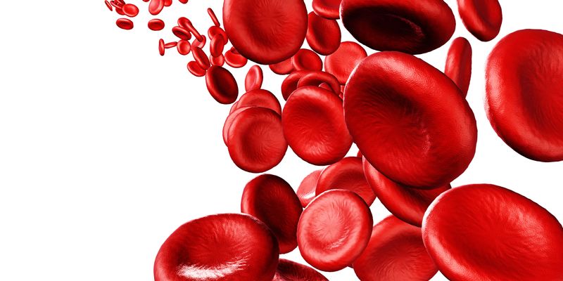 维奈克拉联合阿扎胞苷治疗中高危MDS：VERONA III期临床试验结果深度解析