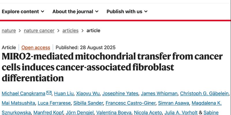 癌细胞“喂养”成纤维细胞新机制揭示：MIRO2或成乳腺癌、胰腺癌等治疗新靶点