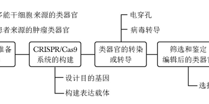 类器官技术:为脑肿瘤患者“定制”最佳治疗方案,攻克耐药难题