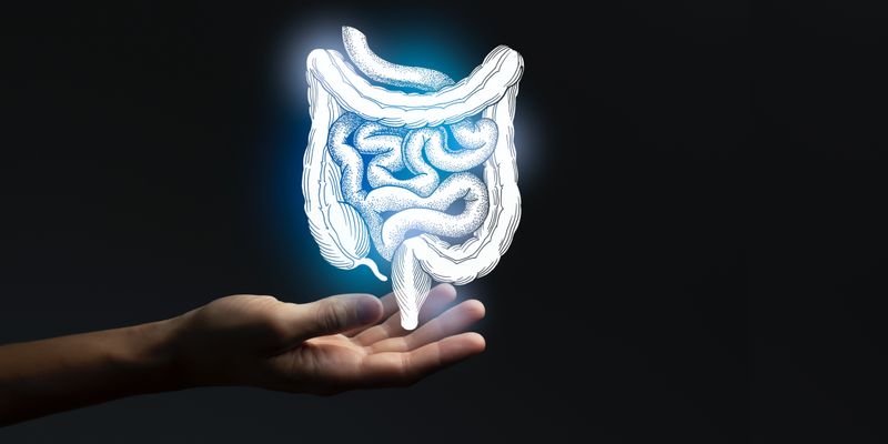 结直肠癌新发现:肠道菌群代谢物3-oxo-LCA如何抑制Wnt通路,发挥抗癌作用?