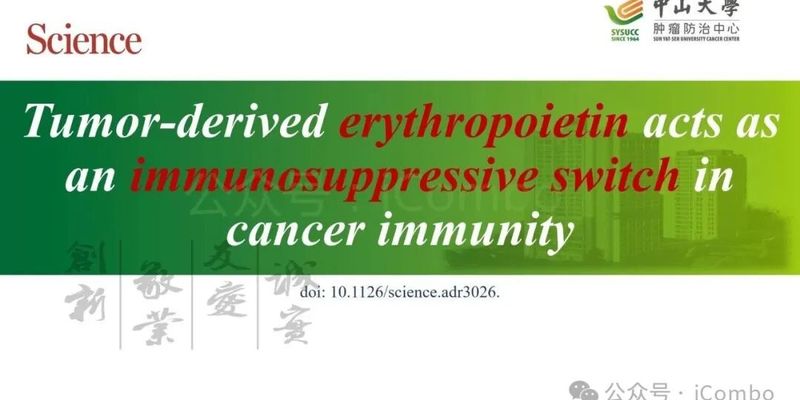 促红细胞生成素:揭开免疫治疗新障碍,将“冷”肿瘤变“热”的新靶点