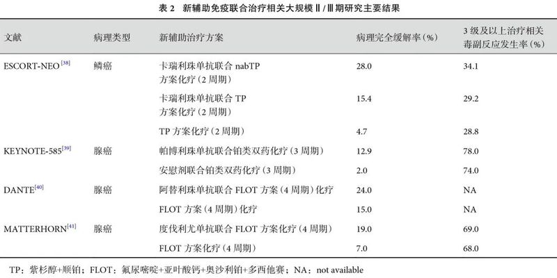 食管癌新辅助治疗新突破:免疫、靶向与化疗方案如何提升生存期?