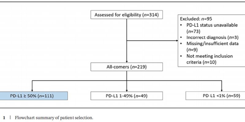 晚期肺癌治疗抉择:帕博利珠单抗单药 vs 联合化疗,真实世界数据深度解析