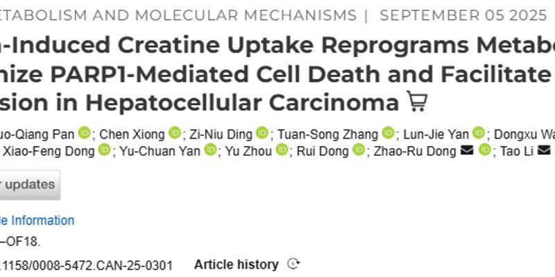 肝癌治疗新突破:揭秘缺氧微环境下的生存策略,仑伐替尼联用新药潜力巨大