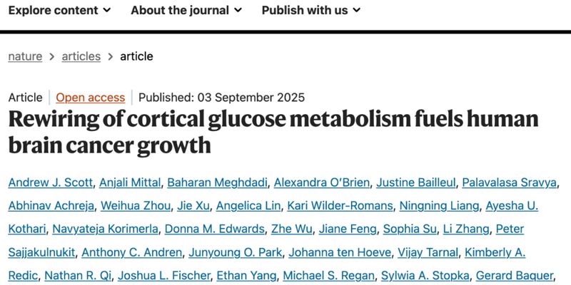 胶质母细胞瘤治疗新突破：限制丝氨酸摄入，有效抑制脑肿瘤生长与扩散