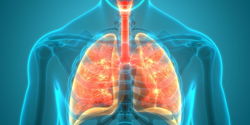 EGFR突变非小细胞肺癌TKI耐药后新希望:Ivonescimab联合化疗显著延长患者生存期