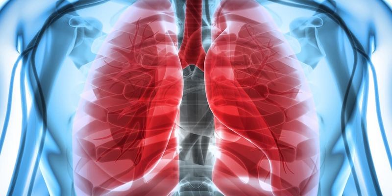 WCLC 2025肺癌治疗新突破:非小细胞肺癌靶向药与免疫疗法最新进展
