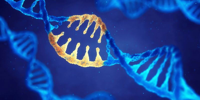 揭秘:16种基因遗传变异如何显著增加多发性原发癌风险?