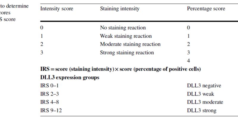 DLL3靶点:神经内分泌肿瘤治疗新突破?肺小细胞神经内分泌癌与肺类癌的DLL3表达分析