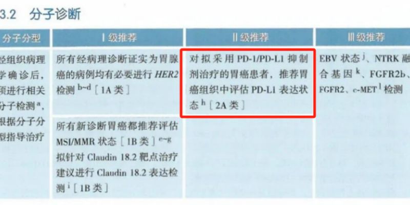 胃癌PD-L1检测指南:如何选择合适的抗体(22C3/28-8/SP263)以指导免疫治疗?