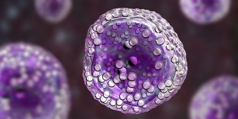 赛沃司他单抗联合泊马度胺/地塞米松:复发/难治性多发性骨髓瘤治疗新希望