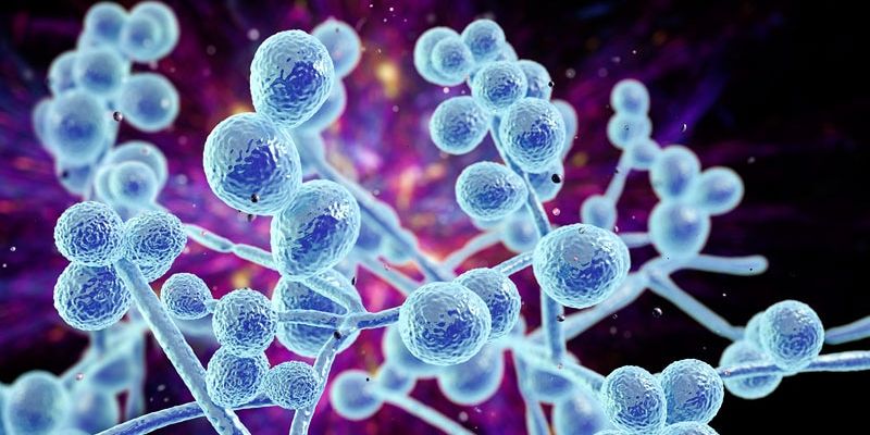 美国Medicare绩效支付体系:医疗质量提升的困境与改革之路