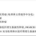 KBTBD4基因突变：中分化松果体实质瘤（PPTID）精准诊断与遗传风险解析