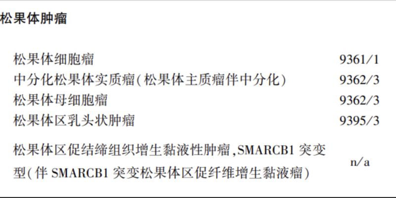 KBTBD4基因突变：中分化松果体实质瘤（PPTID）精准诊断与遗传风险解析