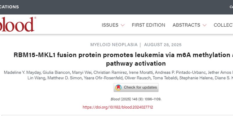 急性巨核细胞白血病（AMKL）治疗新希望：揭秘RBM15-MKL1融合蛋白与m6A修饰、Wnt通路的双重机制