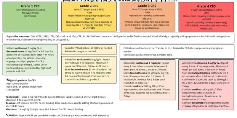 淋巴瘤双特异性抗体治疗:Epcoritamab、Glofitamab等药物的临床应用与毒性管理