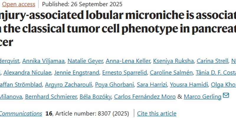 揭秘胰腺癌侵袭新途径:研究发现肿瘤细胞可利用受损组织作为“温床”