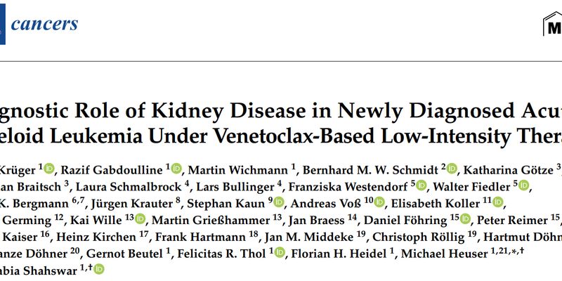 维奈托克联合低甲基化药物治疗老年急性髓系白血病：肾功能影响与生存策略