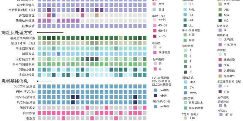 多原发肺癌（MPLC）治疗新突破：同期手术联合热消融，安全高效改善预后