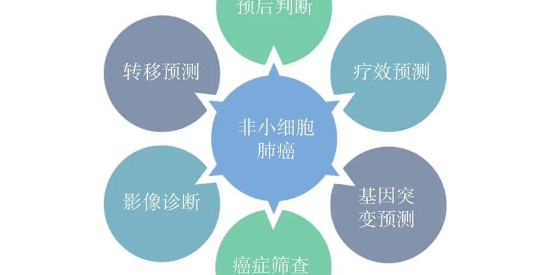 非小细胞肺癌诊疗革命:人工智能如何精准预测EGFR/ALK突变和治疗效果?