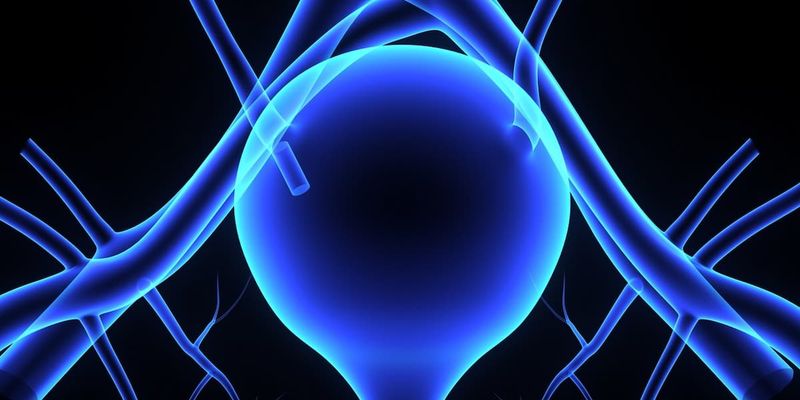 IDE397联合Trodelvy:MTAP缺失尿路上皮癌治疗新希望,临床研究揭示积极疗效