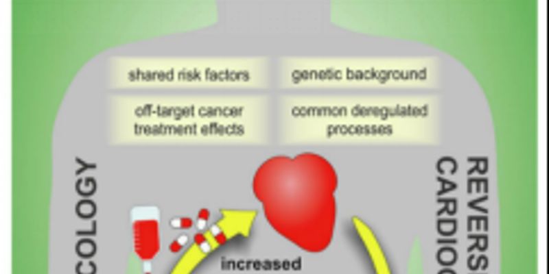 警惕癌症治疗副作用：深度解析放射治疗对心脏健康的长期影响