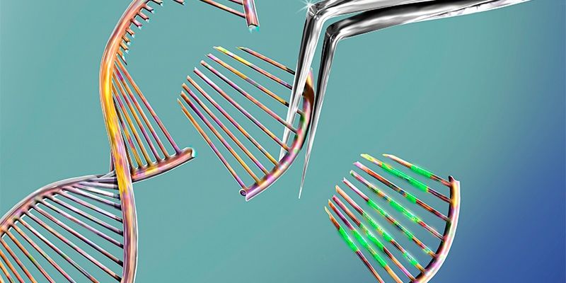 CRISPR基因编辑技术最新突破:能否“一次性治愈”罕见病与癌症?