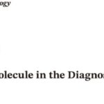 淋巴瘤治疗新靶点CD30详解：维布妥昔单抗与CAR-T疗法全解析